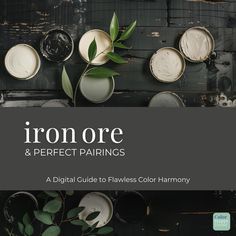 the cover of iron ore and perfect pairings, featuring plates with leaves on them