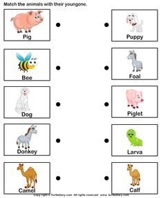 an animal worksheet for kids to learn how to read the words in english