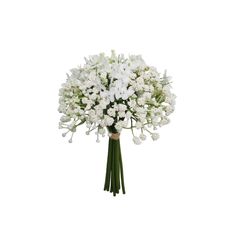 a bouquet of white flowers on a white background