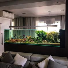 a living room filled with furniture and an aquarium