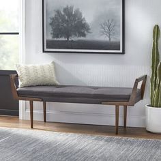 a living room filled with furniture and a cactus