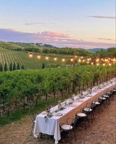 a long table is set up in the middle of a vineyard with lights strung over it