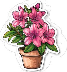 a potted plant with pink flowers in it