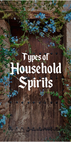 Learn of the various types of household spirits here including how to feed and care for them as a witch. House Spirits Witchcraft, Household Spirits, House Spirits, Witchcraft Spell Books, Hedge Witch, Herbal Magic, Witch Books