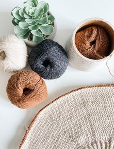 three skeins of yarn next to a potted succulent on a white surface