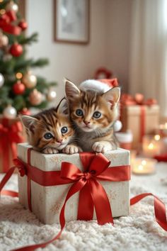 two small kittens are sitting in a gift box