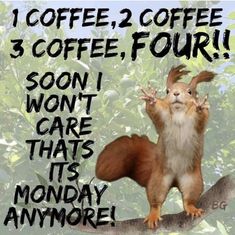 a squirrel sitting on top of a tree branch with the words coffee, four soon i won't care that its monday anymore