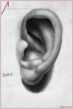 a drawing of an ear with the words deart written on it's side