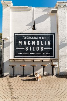 there is a sign that says welcome to the magnolia silos with a dog sitting in front