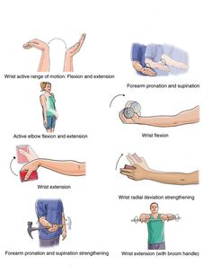 Distal Radius Fracture, Head Exercises, Humerus Fracture, Rehab Nursing, Elbow Exercises, Rehabilitation Exercises, Physical Rehabilitation