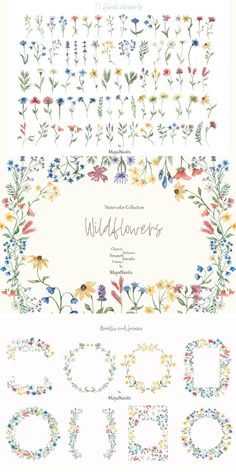 the wildflowers font and numbers are shown in different colors, sizes and shapes