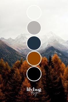 a poster with five different colors in the middle and mountains in the background that says lilbug