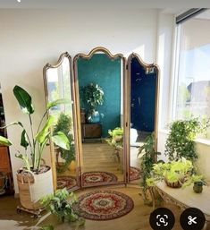 a room filled with lots of plants and mirrors