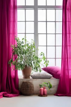 a potted plant sitting on top of a window sill next to a pillow