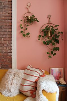 a living room with pink walls and two hanging plants on the wall, along with pillows