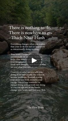 there is nothing to do, there is nowhere to go - thich naat hanh