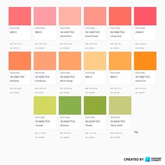 the color chart for different shades of orange, pink and green with text below it