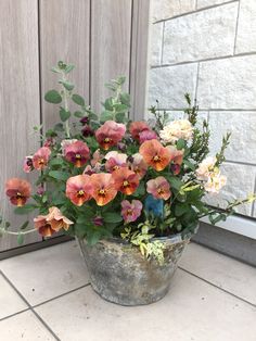 a bucket full of flowers sitting on the ground