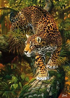 a painting of a leopard on a log in the jungle