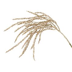 This modern gold amaranth spray instantly elevates any space with its opulent metallic finish and faux floral design. The metallic gold stems create a bold look that's perfect for the holidays while still feeling fresh and contemporary. Infuse your holiday tablescape or mantlepiece with a touch of glamor and drama using this showstopping faux floral arrangement. Sullivans Gold Branch Spray Christmas Tree Pick | ST1925 GO Christmas Tree Picks, Holiday Tablescape, Holiday Picks, Gold Branches, Christmas Picks, Faux Floral Arrangement, Tall Centerpieces, Artificial Flowers And Plants, Holiday Tablescapes