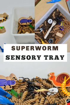 the words superwormm sensory tray are surrounded by toys and materials in different shapes