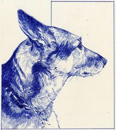 a drawing of a dog's head is shown in blue ink on white paper