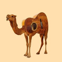 a camel with a guitar strapped to it's back, standing in front of a beige background