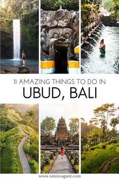 the top things to do in ubud, bali