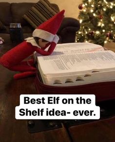 an elf reading a book with the caption best elf on the shelf idea - ever