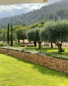 a stone wall in the middle of a grassy area with trees and bushes on either side