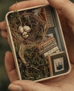 someone is holding a miniature bird's nest with three eggs in it and moss