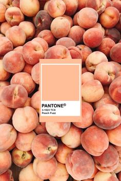 a bunch of peaches with the pantone's logo on top and bottom