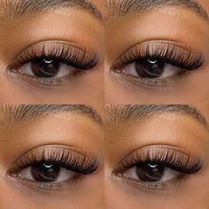 Lash Maps For Hooded Eyes, Hybrid Wispy Cat Eye Lash Extensions, Short Natural Lash Extensions, Hybrid Doll Eye Lash Extensions, Hybrid Wispy Eyelash Extensions, Brown Lash Extensions, Cat Eye Lash Extensions, Natural Fake Eyelashes