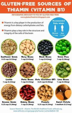 Vitamin B Foods, Vitamin Rich Foods, Workout Diet Plan, Vegetarian Protein, Vitamin B1, B Vitamins, Kids Diet, Vitamin B12, Food Facts