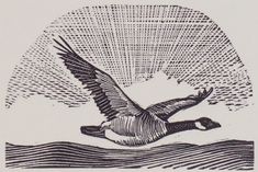 an ink drawing of a bird flying over water with the sun shining through it's wings