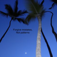 two tall palm trees with the moon in the sky behind them and a quote written on it