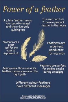 Feathers In Witchcraft, Gray Feather Meaning, Feather Spiritual Meaning, Feather Identification, Feather Symbolism