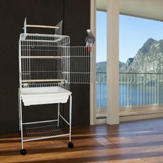 a white bird cage sitting on top of a hard wood floor next to a window