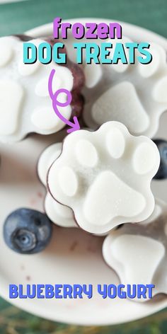 blueberry yogurt frozen dog treats on a white plate with text overlay