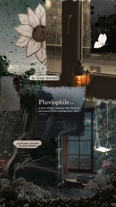 an image of a window with rain drops on it and the words pluvophobia