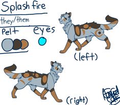 some type of dog with different colors on it's face and body, including the words splash fire they / them pet eyes left and right