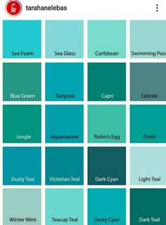 the shades of teal and green are shown in this color chart, which shows different shades