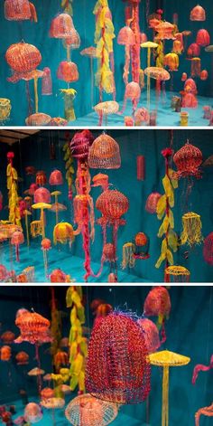 two pictures of jellyfish in different colors and sizes