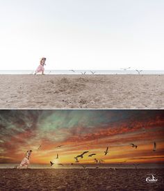 two pictures with birds flying in the sky and on the beach at sunset, there is a woman walking down the beach