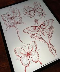 a drawing of three butterflies on a white sheet with red ink and some brown lines