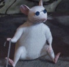 a white mouse with blue eyes is standing on one leg and holding a cane in its paws