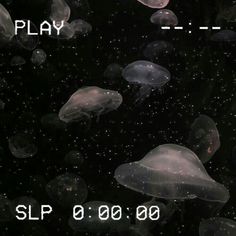 jellyfish floating in the water and playing with their own numbers on it's screen