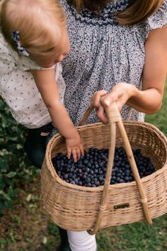 Summer Blueberry Picking - Julia Berolzheimer Blueberry Field Photoshoot, Blueberry Picking Photoshoot, Blueberry Picking Aesthetic, Blueberry Photoshoot, Doen Top, Berry Picking, Everlane Jeans