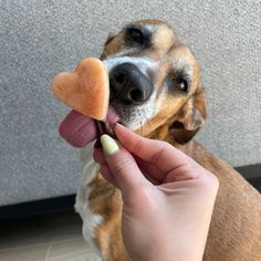 a person holding a piece of bread in their hand with a dog's face