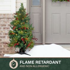 a christmas tree sitting in front of a door with the words flame restaurant and non - allergenic